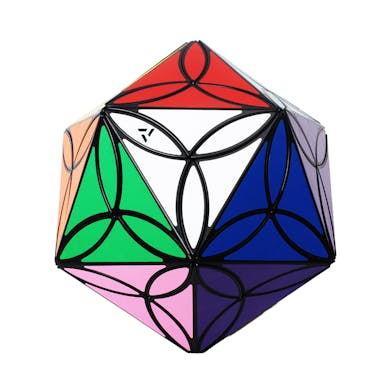 Aj 20 Colors Clover Icosahedron - Black
