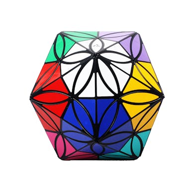 Aj 12 Colors Clover Icosahedron - Black